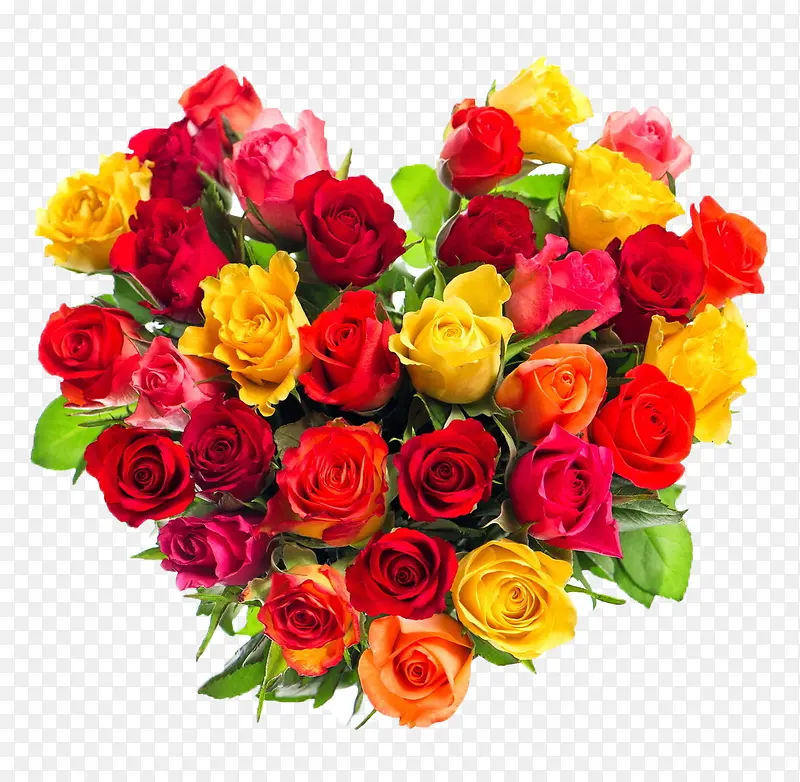 玫瑰花