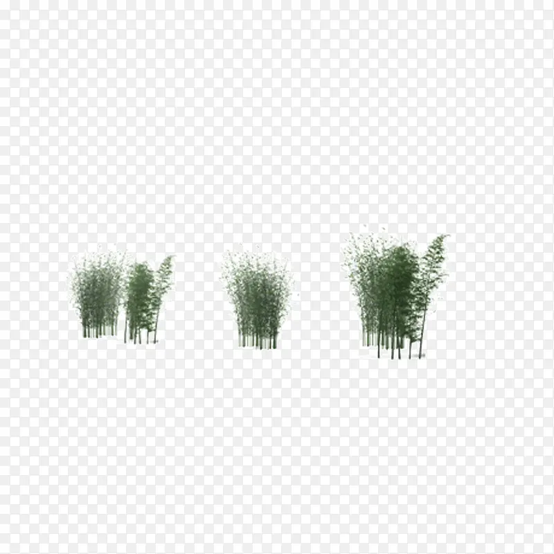 竹树翠竹绿色竹林PNG图片素材下载_图片编号qpaozxxw-免抠素材网