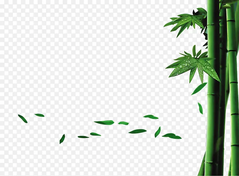 创意手绘扁平风格绿色的竹子