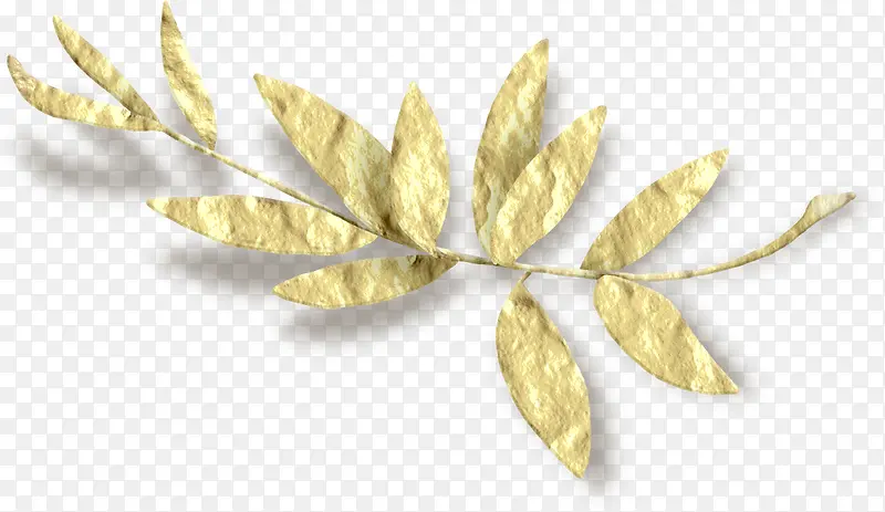 金色漂亮枝叶