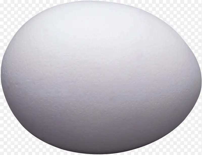 蛋类 蛋 鸡蛋 鸟蛋