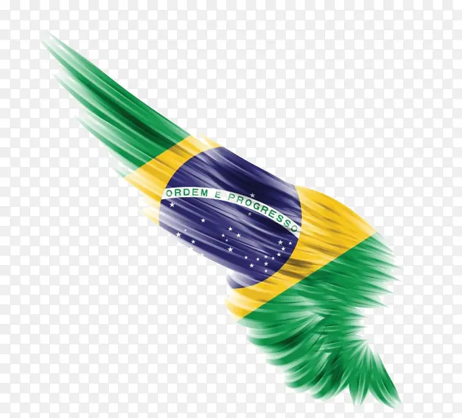 巴西国旗羽毛