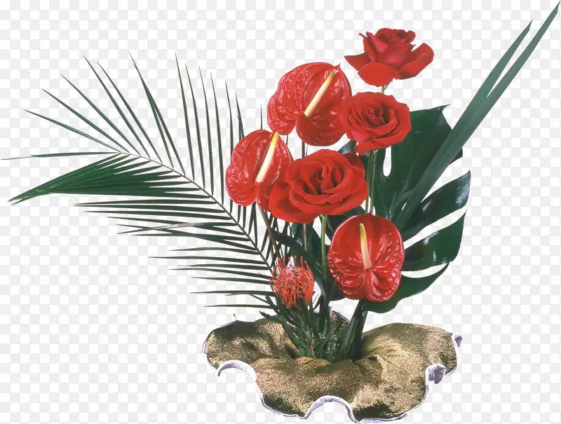 一盆红色花朵植物