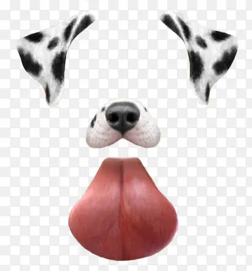 斑点狗狗耳朵鼻子舌头照片修饰