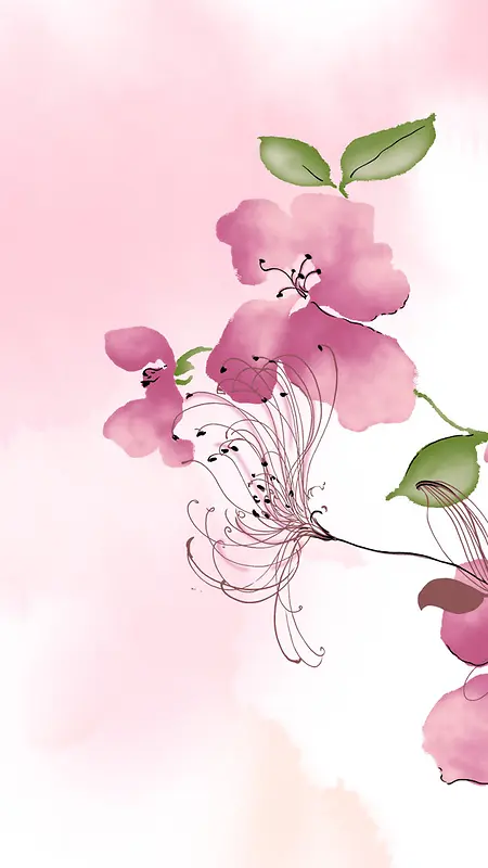 彩绘粉红色花朵水墨彩绘风格