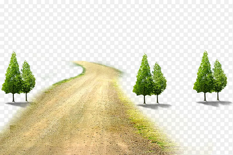 树木小路