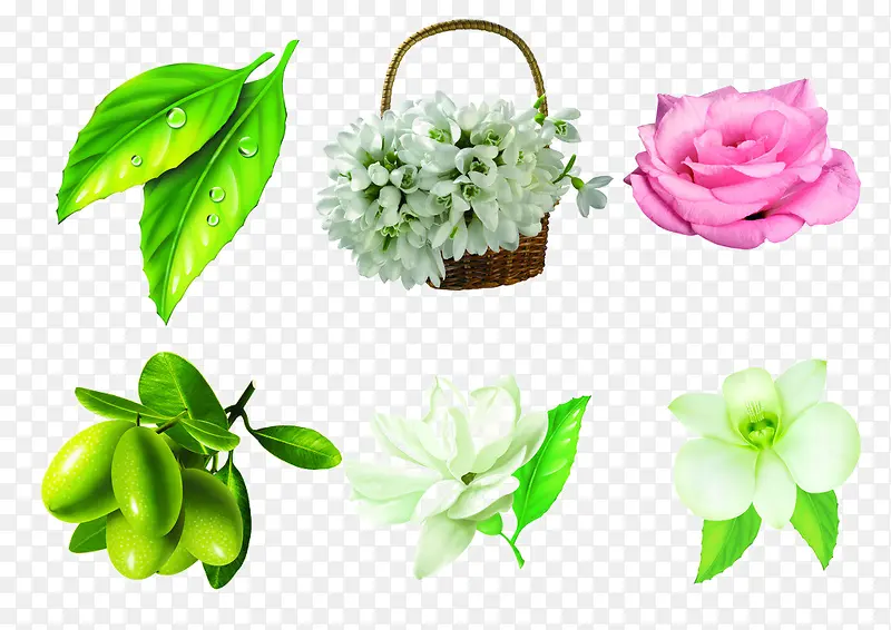 植物装饰图