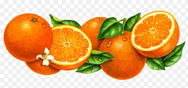 新鲜水果香橙