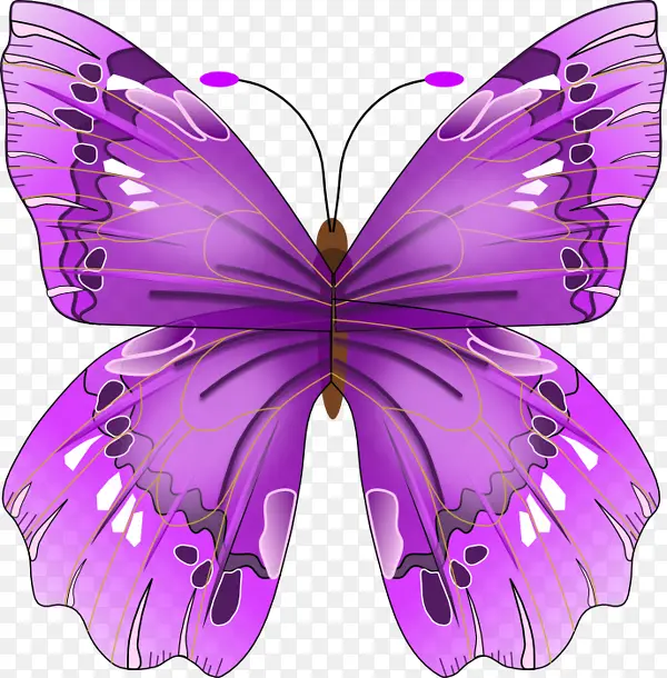 紫色神秘手绘蝴蝶