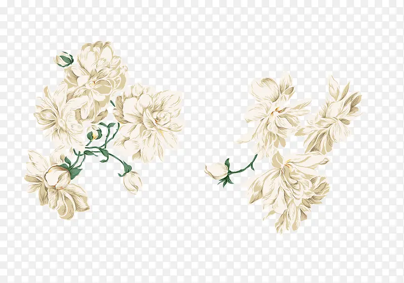 白色花