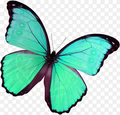 合成水彩绿色荧光蝴蝶