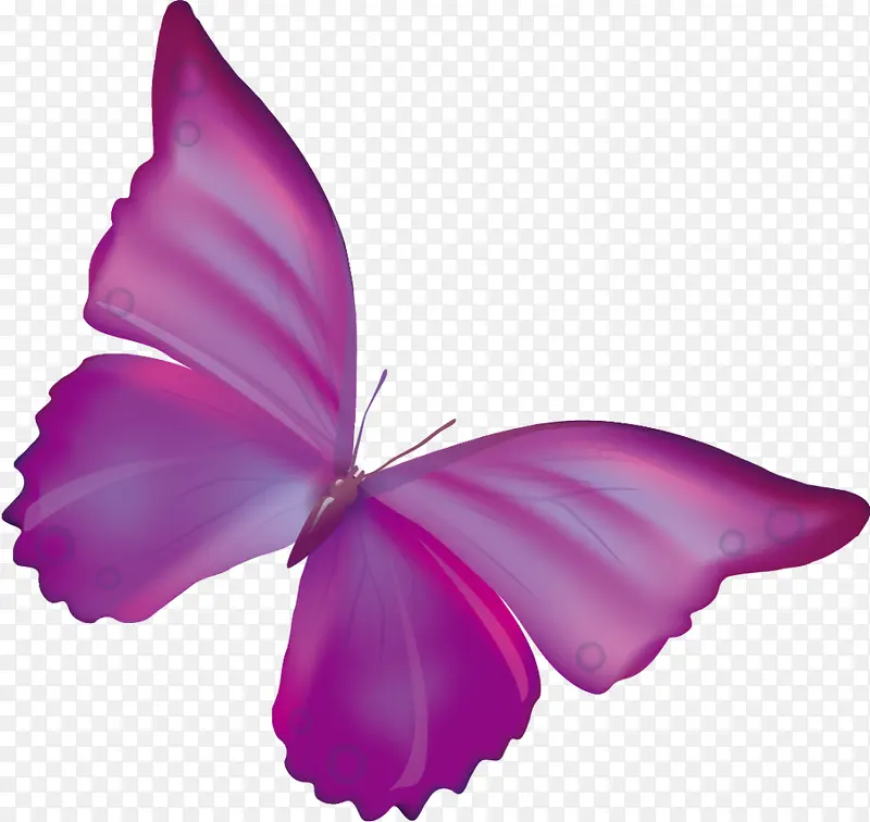 手绘紫色蝴蝶