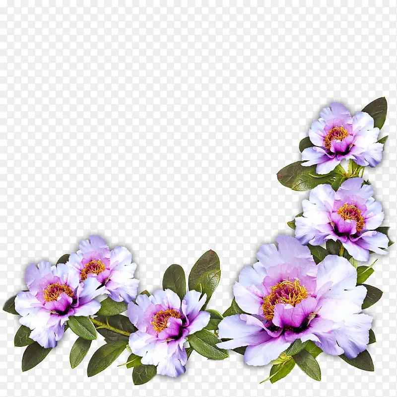 唯美花卉装饰图案