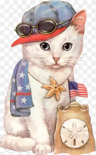 眼镜与猫