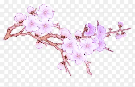 手绘花枝紫色小花