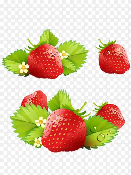 新鲜草莓手绘素材