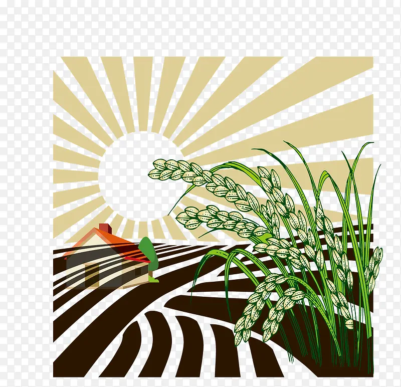 矢量水稻风景