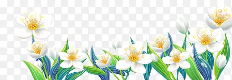 花卉
