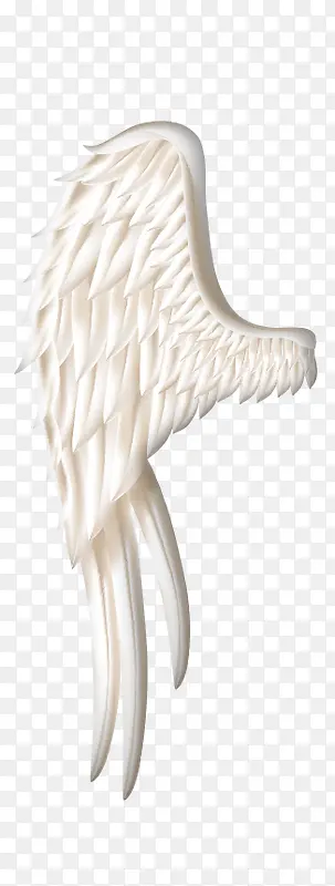 左半边天使的白色翅膀
