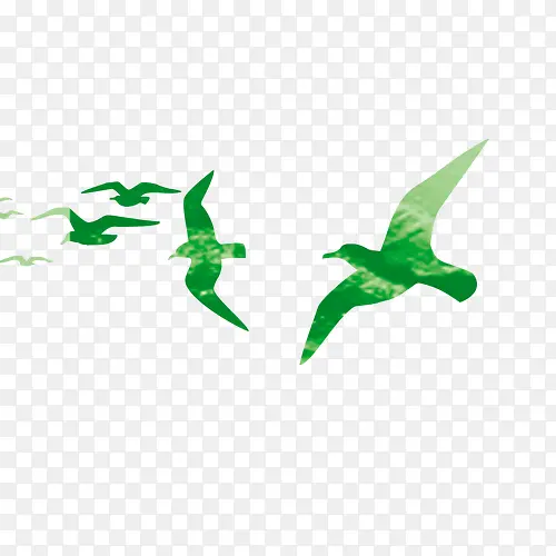 绿色飞鸟