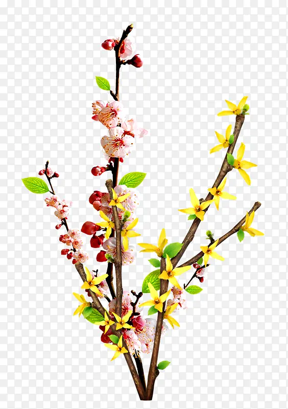 梅花枝