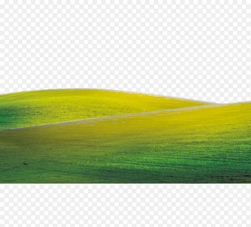 草坪