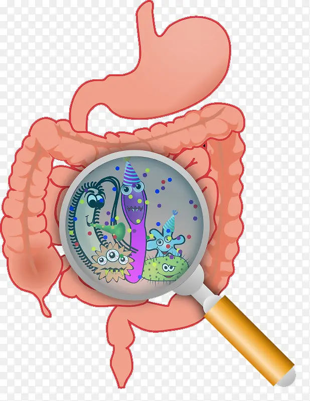 卡通肠胃里的细菌