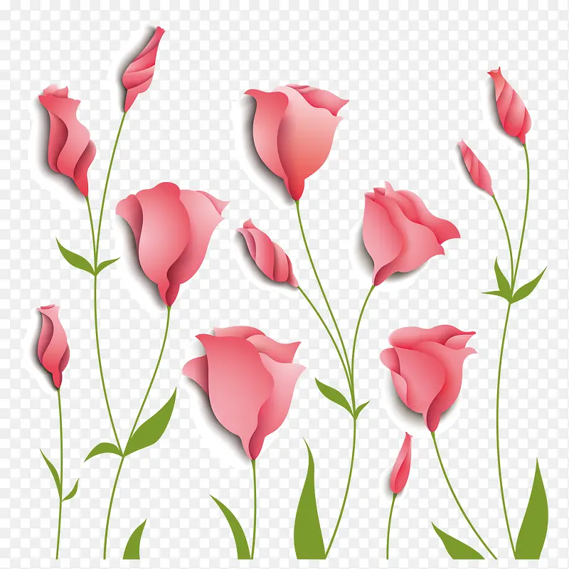 花卉 玫瑰花 淡粉色 矢量图