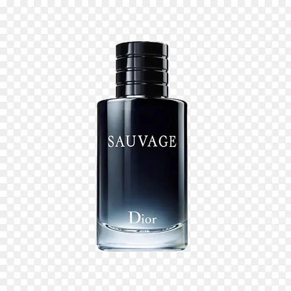 迪奥(Dior)旷野男士淡香水