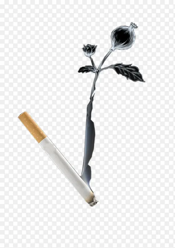 烟头罂粟抽烟有害健康