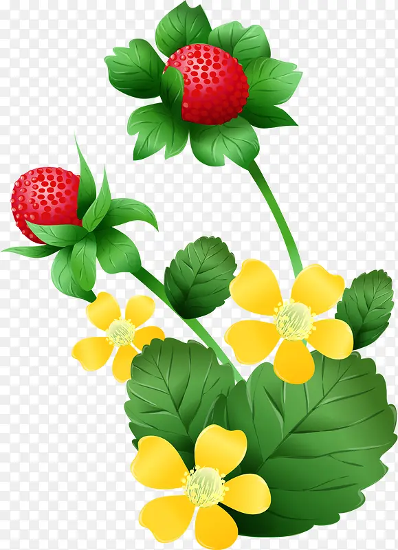 手绘新鲜草莓花朵图案