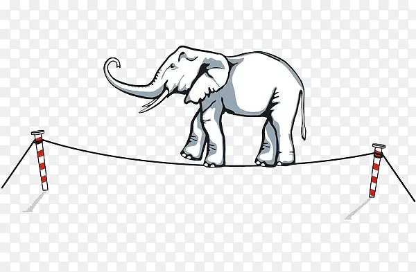 大象走钢丝绳