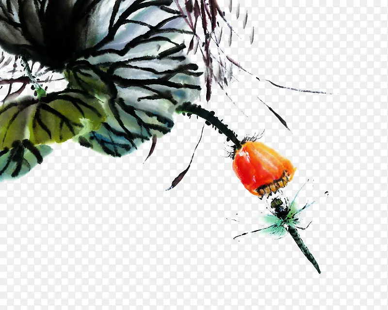 手绘蜻蜓花朵水墨画