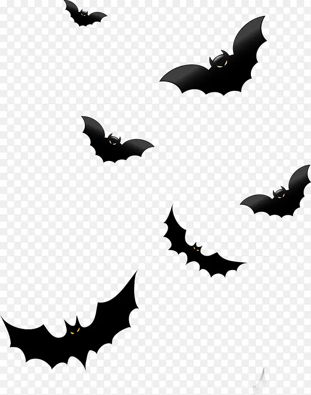 黑色的蝙蝠