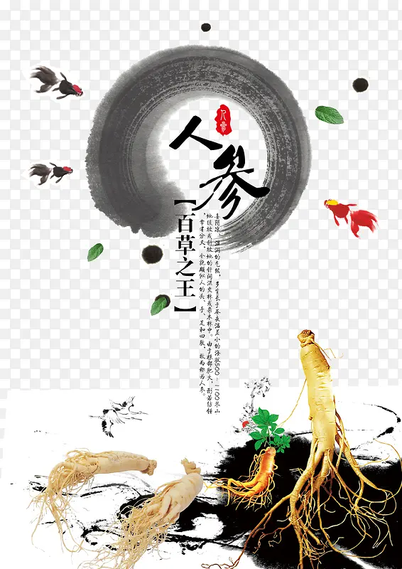 中国风人参中草药