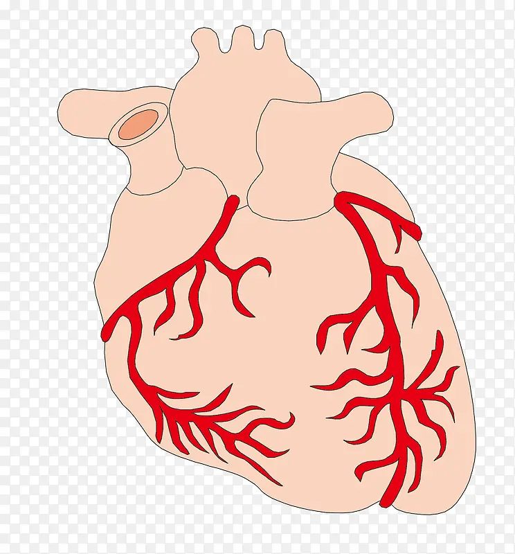 矢量卡通图案心脑血管