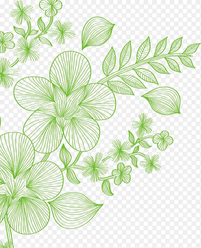 绿色线条花卉植物矢量图
