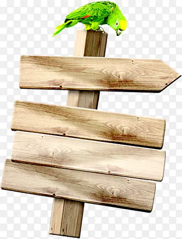 木制方向指示牌和鸟