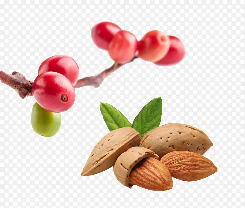 树枝上的樱桃和干果