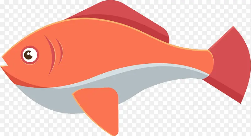 海洋生物呆萌的小鱼