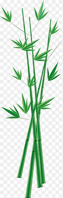 传统竹子素材
