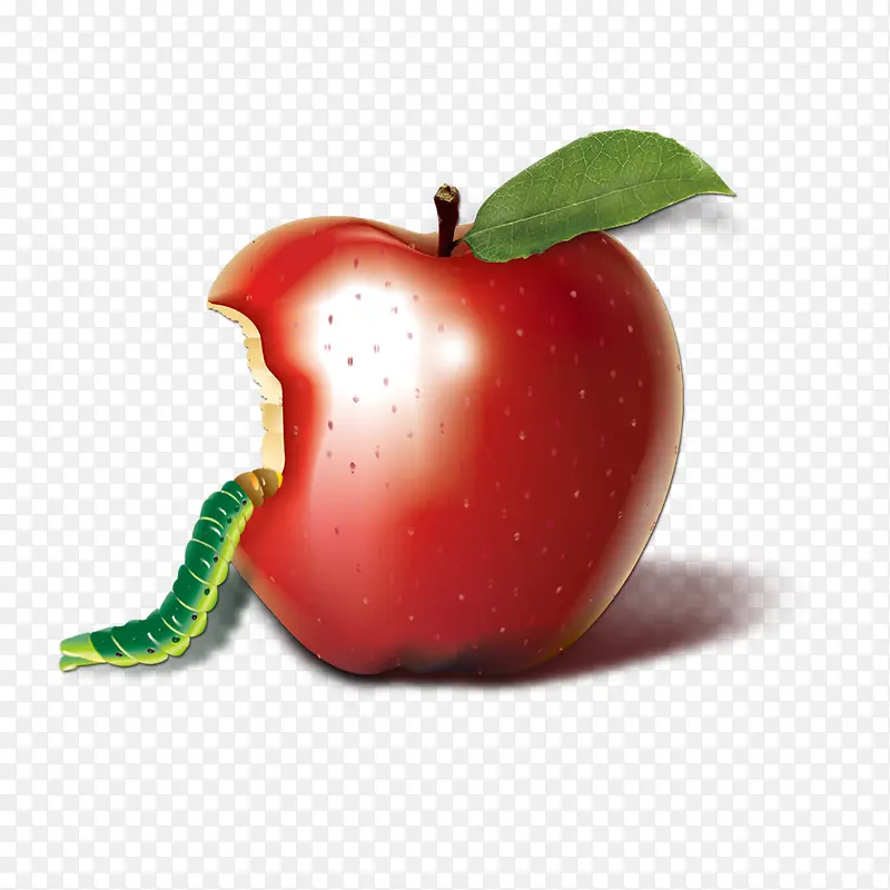 虫子吃苹果