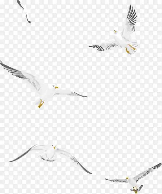 飞翔的白色海鸥矢量素材