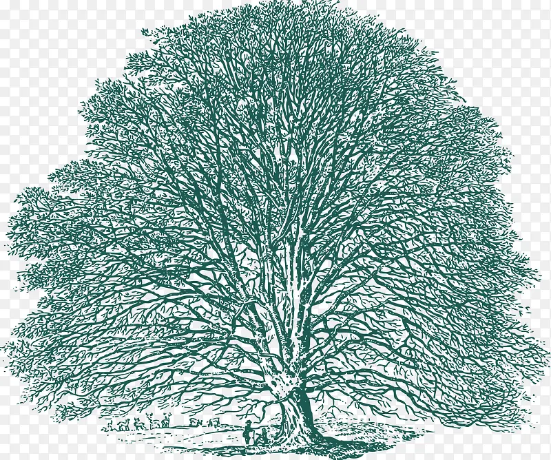 素描柳树背景PNG矢量元素