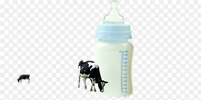 奶瓶和牛