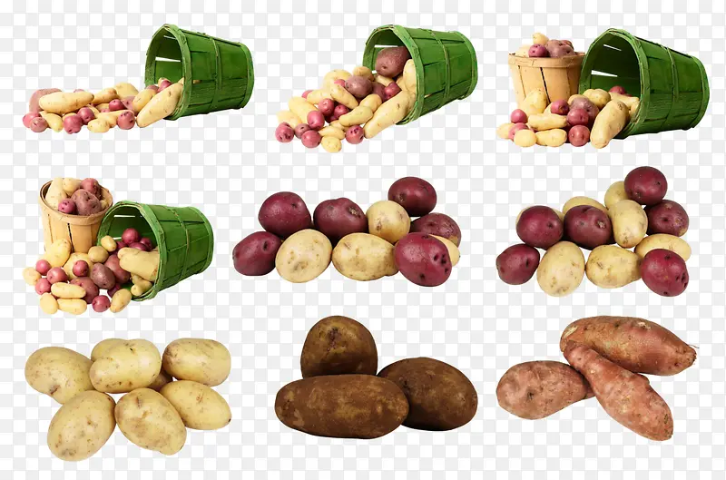 土豆红薯蔬菜集合