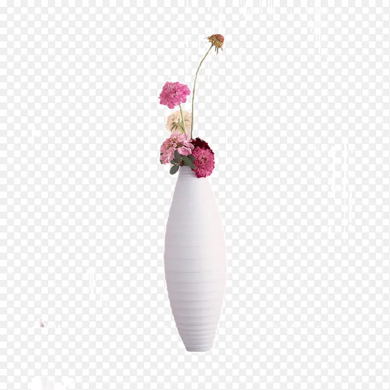 盆栽  花瓶