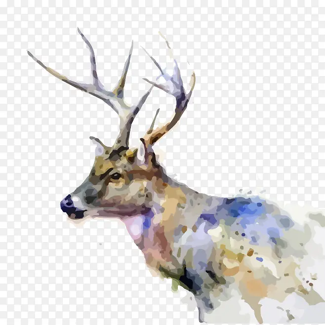 麋鹿水彩画