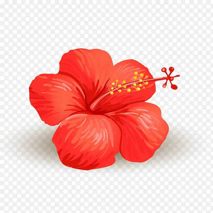 手绘红色花朵