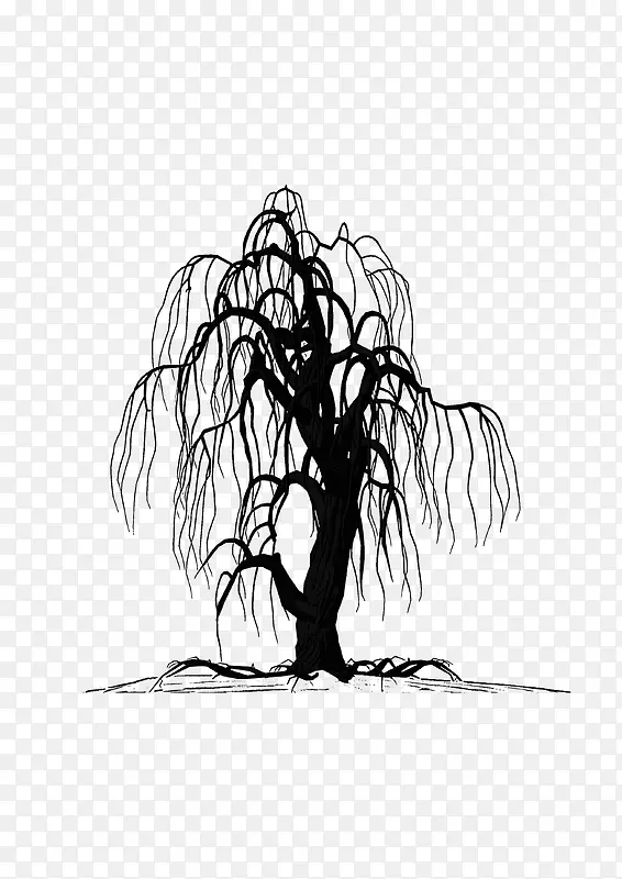 绘画植物 枯树 黑白